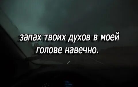 Твой запах тест