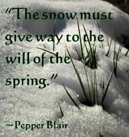 Spring snow перевод. Цитаты про весну. spring quotes. quotes about spring. phrases about spring.