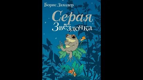 Заходер серая звездочка краткое