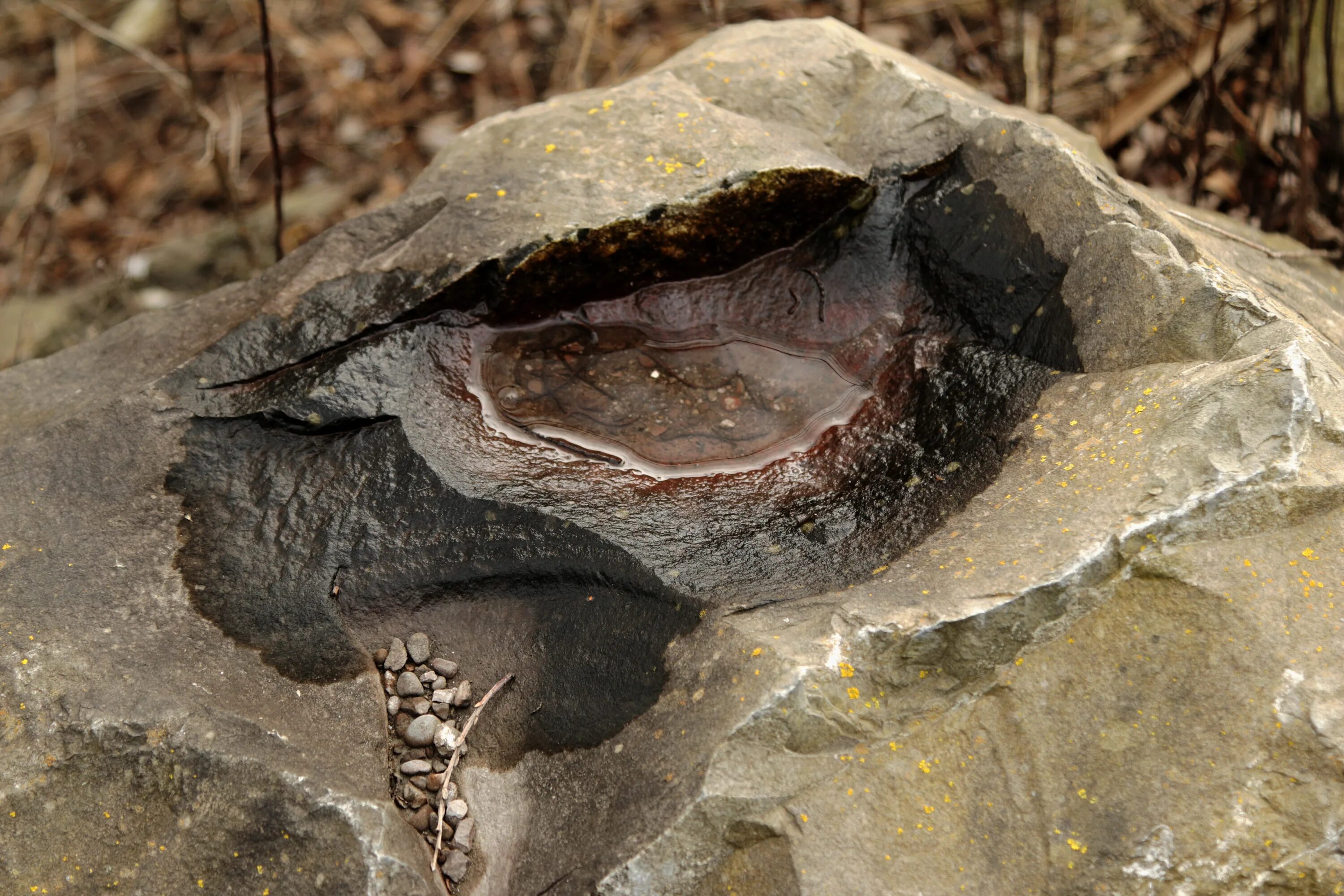 Stone eyes. Каменный глаз. Каменная лужа. Камень в луже. Камень с глазами.