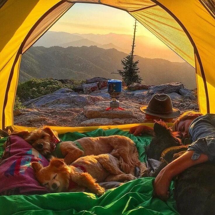 Палатка camping style. Camping life 1. Палатка у моря. Backcountry camping. Camping life 1.
