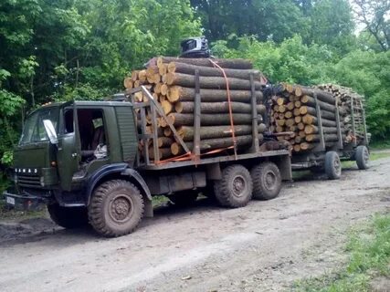 Перевозка леса