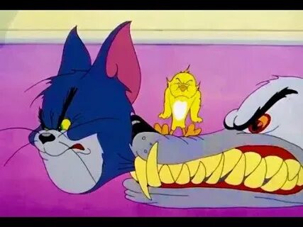 Jerry kitty