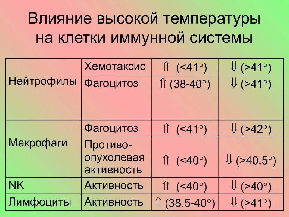 Влияет ли температура на звук. Влияние температуры на клетки. Влияние высокой температуры. Температура влияет на. Действие высоких температур.