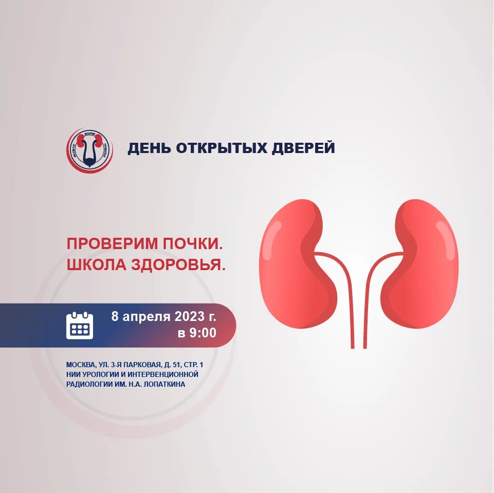 кто проверяет почки