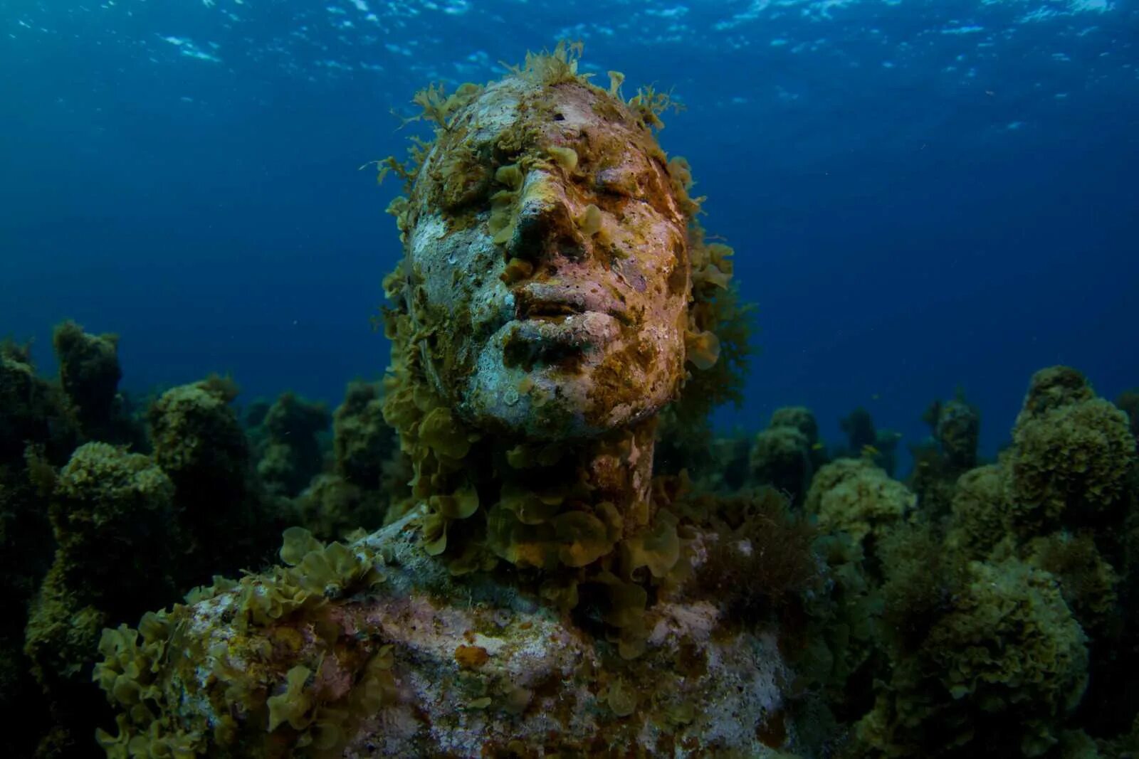 Океаны древности. Подводный музей скульптур Канкун Мексика. Юкатан подводный музей. Дно океана. Самое дно океана.