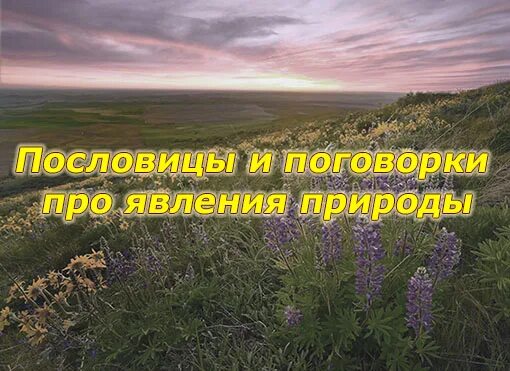 Поговорки про грозу. Пословицы про явления. Пословицы про явления. Поговорки о природных явлениях. Пословицы и поговорки о явлениях природы.