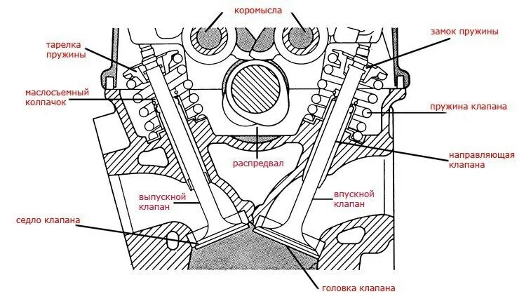 Впускные и выпускные клапана схема. Как определить впускной и выпускной клапан на двигателе. Двигатель внутреннего сгорания впускной и выпускной клапан. Впускной и выпускной клапан ДВС.
