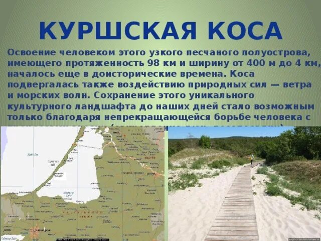 Сообщение про куршскую косу