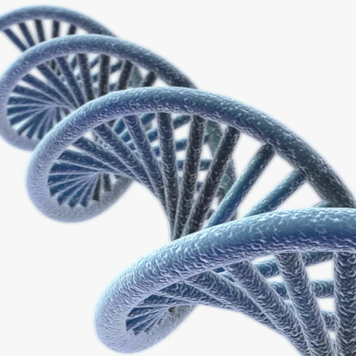 ДНК 3д модель. ДНК 3. Молекула ДНК 3d. DNA 3d model.