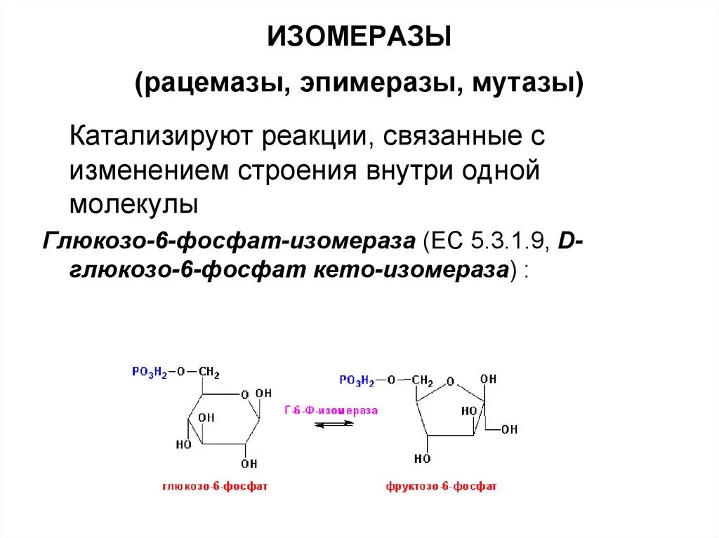 Типы реакций катализируемых ферментами. Изомеразы примеры ферментов. Изомеразы Тип катализируемой реакции. Изомеразы химическая структура. Функции фермента изомеразы.