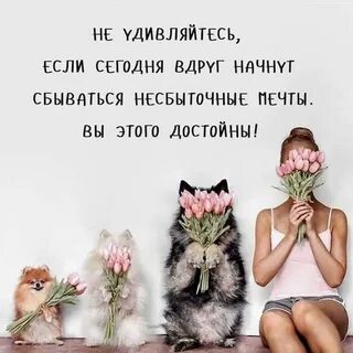 Было бы чему удивляться