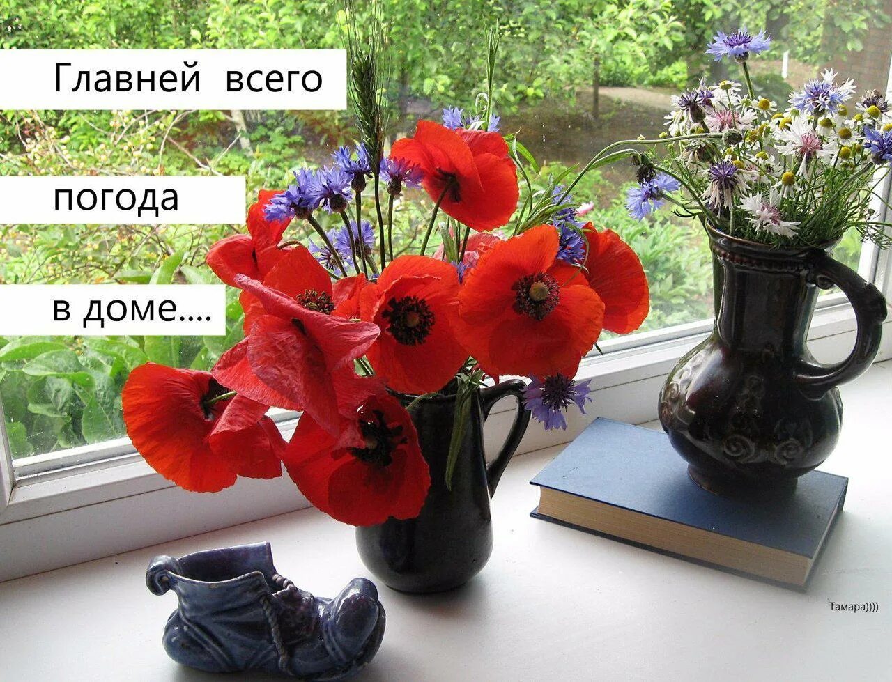 Открытки главней всего погода в доме. В семье командовать должен кто то одна. Главней всего погода в доме картинки. В доме командовать должен. Юмор кот хозяин в доме.