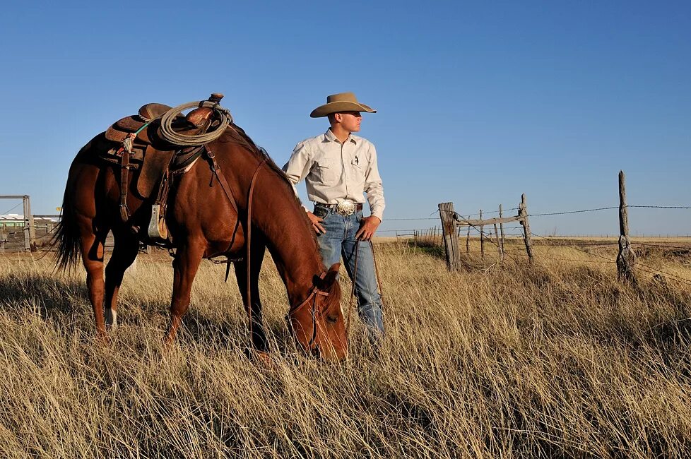 Ready to go cowboy
