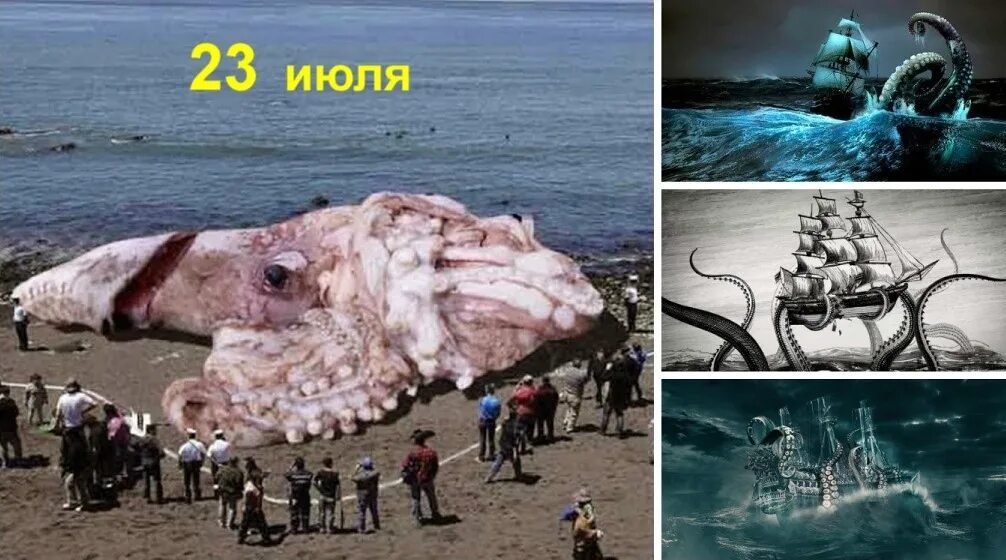 Самый большой кальмар в мире кракен. Гигантский кит. Антарктический гигантский кальмар. Самые огромные существа на земле. Антарктический гигантский кальмар.