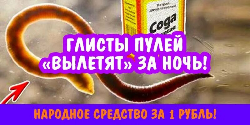 Как быстро от глистов. Народное средство от гельминтов. как избавиться от глистов.