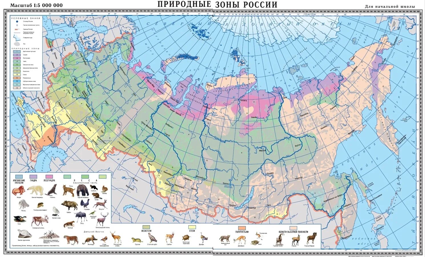 Карта природных зон России 2022. Карта природных зон России 8 класс география атлас. Карта природных зон России 4. Карта природных зон России 2023.