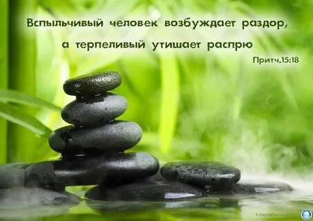 Притчи 16