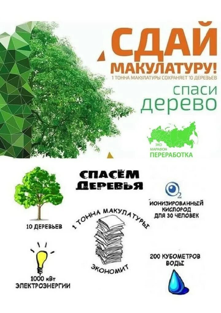 Сохраним дерево макулатура