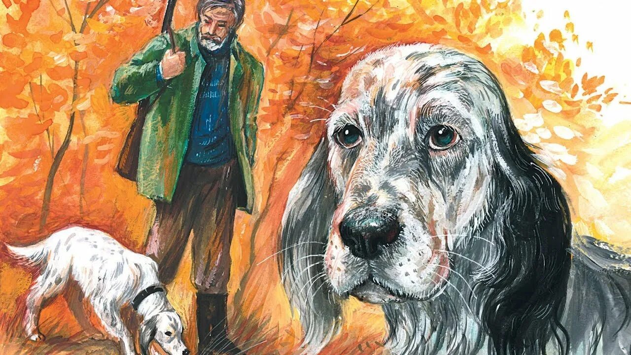 г. троепольского. белый бим чёрное ухо краткое содержание. повесть троепольского белый бим. повесть книга.