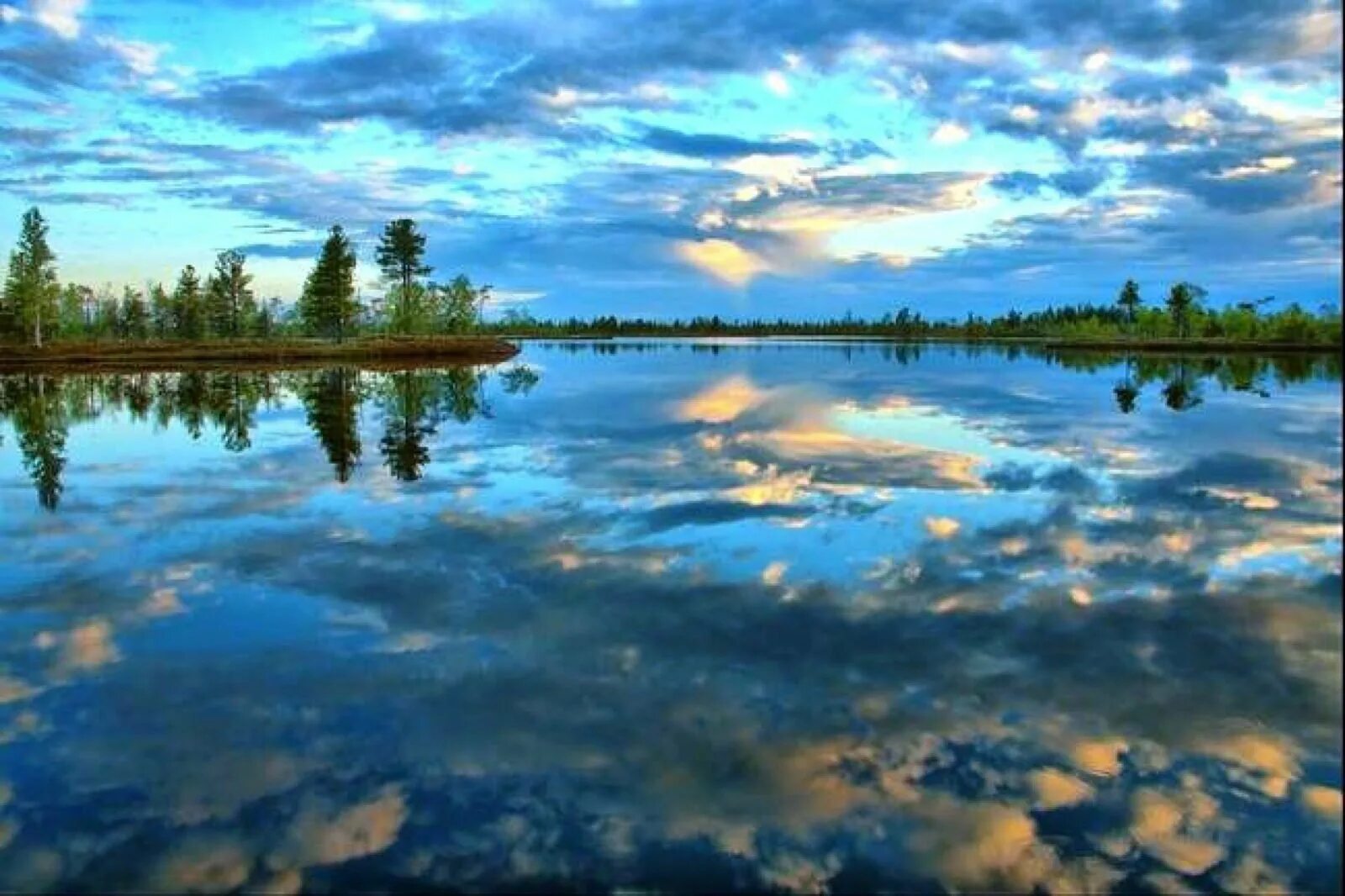 васюганское болото заповедник. сибирские болота. васюганские болота. западно сибирская равнина васюганское болото. васюганский заповедник в новосибирской области.