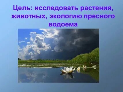 Море это пресный водоем
