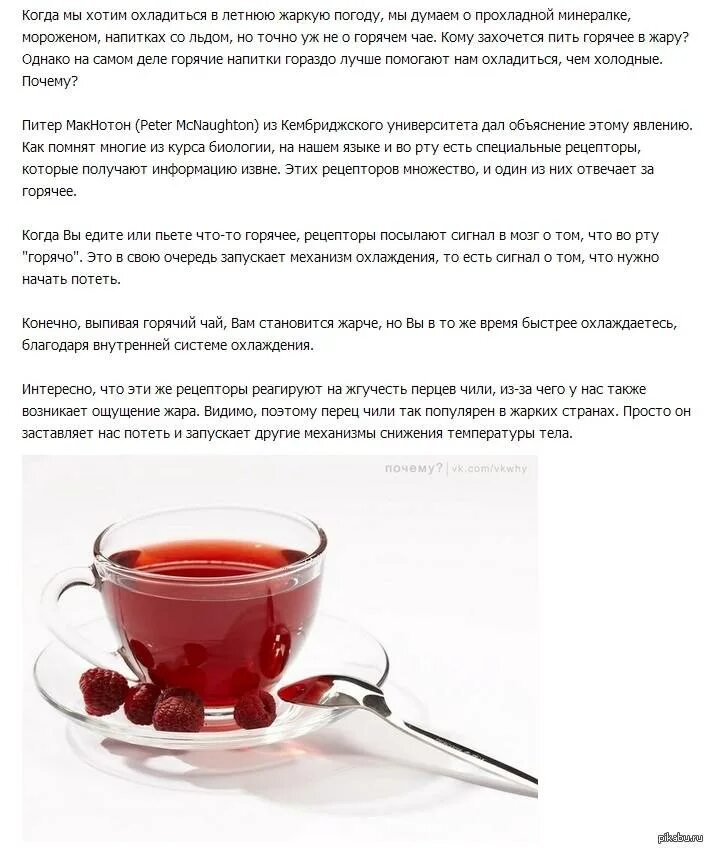Почему нельзя пить чай. Пить горячий чай. как пить чай. почему нельзя пить горячий чай. пить крепкий горячий чай.