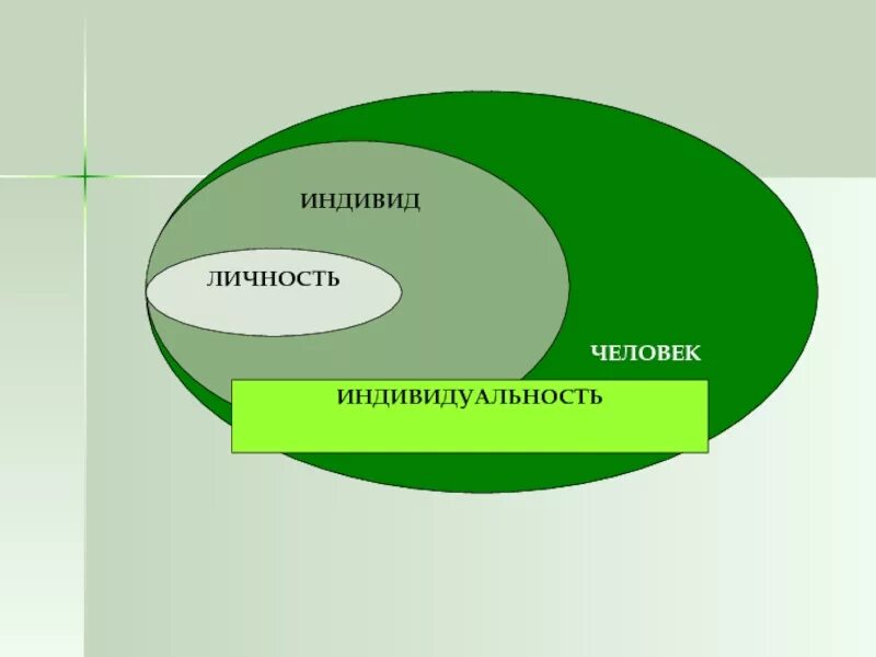 Животный индивид. Человек индивид личность. Человек индивид личность индивидуальность. Человек индивидуальность личность. Человек личность индиви.