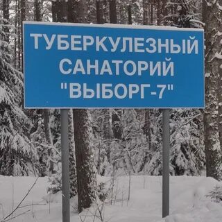 Туберкулезная выборг