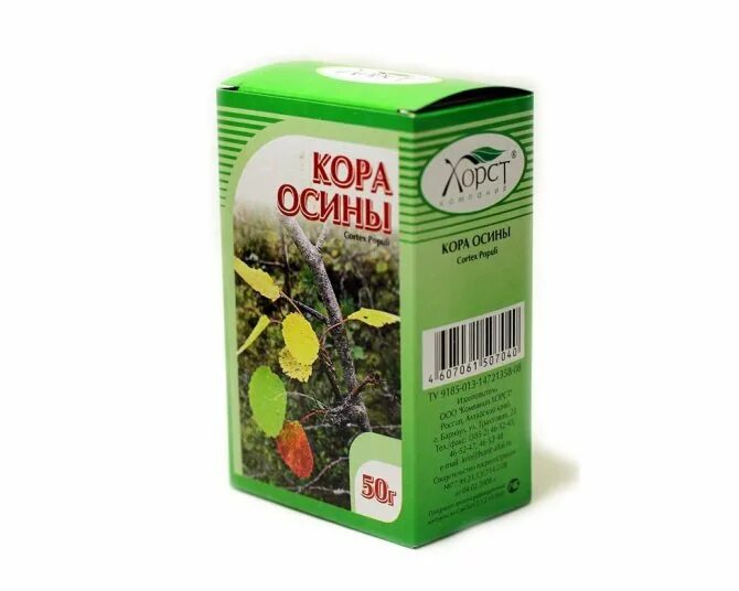 Чай из осины