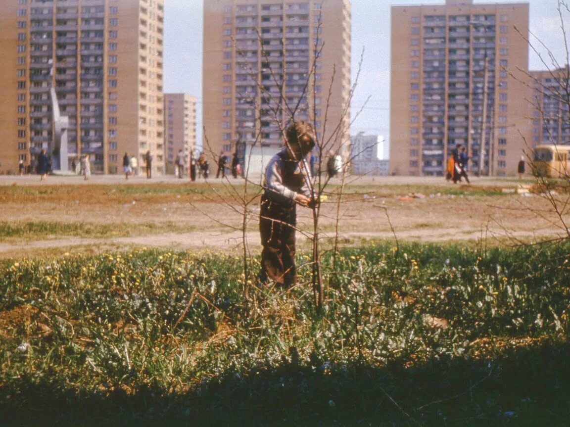 Москва царицыно кантемировская. Царицыно Ленино-дачное. Царицыно Пролетарский проспект. Район Кантемировская Царицыно. Район Царицыно Кантемировская улица в 80.