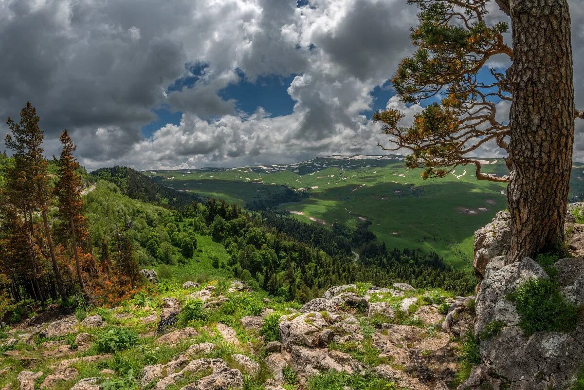 плато лаго-наки адыгея. горы адыгеи лагонаки. адыгея лагонаки фото. горы адыгеи лагонаки. адыгея лагонаки фото.