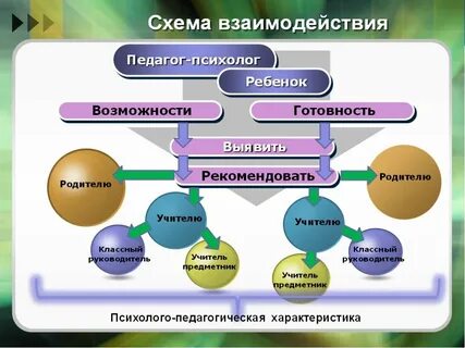 Виды педагогического сотрудничества