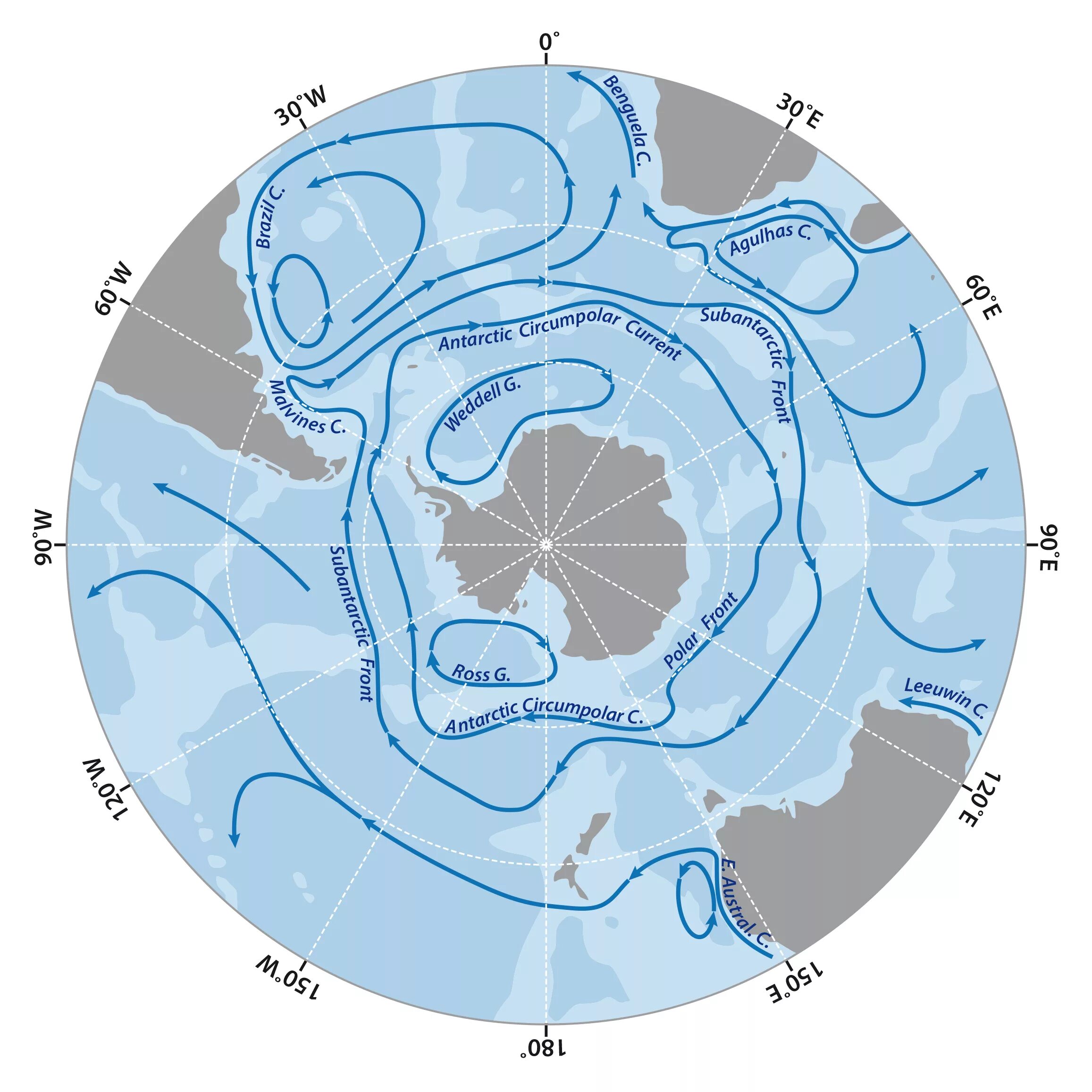 Антарктическое циркумполярное течение. Схема циркумполярного антарктического течения. Течения Антарктиды на карте. Течения восточных ветров
