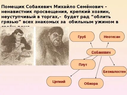 Сравнительная характеристика плюшкина и собакевича