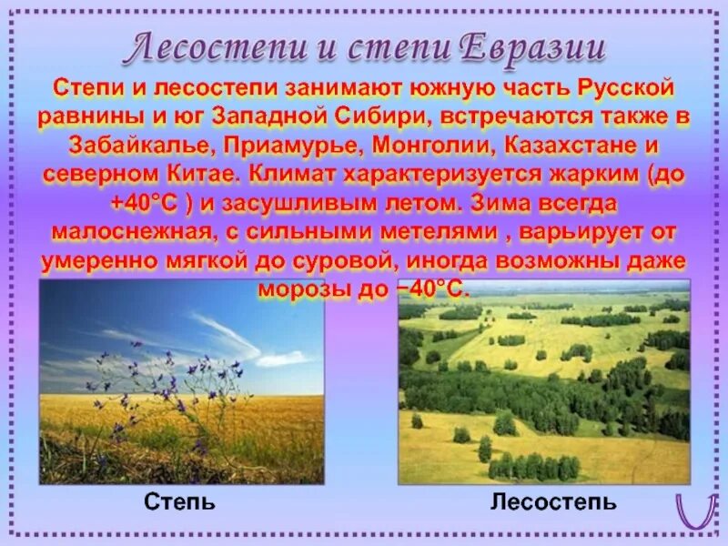 Где находятся лесостепи и степи. Климат степей и лесостепей в России. Природные зоны степи и лесостепи. ГКО В степи и лесостепи. Лесостепи и степи Западной Сибири.