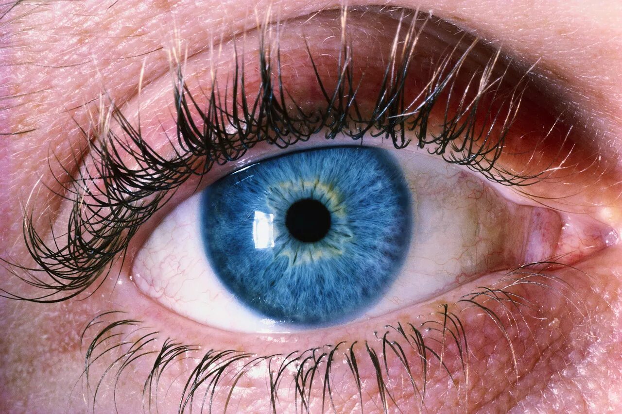 Голубые глаза. Человеческий глаз. Красивые глаза. Синие глаза.