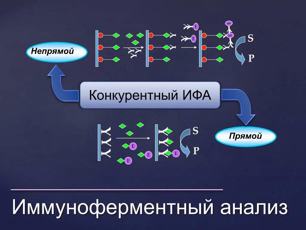 Антиген методом ифа. Ифа конкурентный метод и сэндвич. прямой конкурентный ифа схема. непрямой метод ифа схема. неконкурентный ифа метод сэндвича.