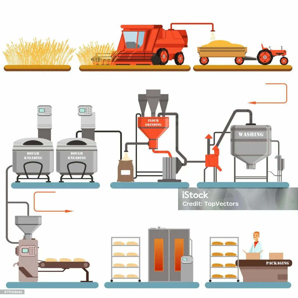 Методы производства хлеба. Методы производства хлеба. Схема технологического процесса производства хлеба. Технологическая схема производства безопарного хлеба пшеничного. Технология производства.