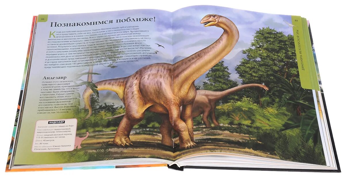 Динозавр читать сказку. Иллюстрированный справочник «всё о динозаврах». энциклопедия. динозавры. динозавры. иллюстрированная энциклопедия. детская энциклопедия динозавров.