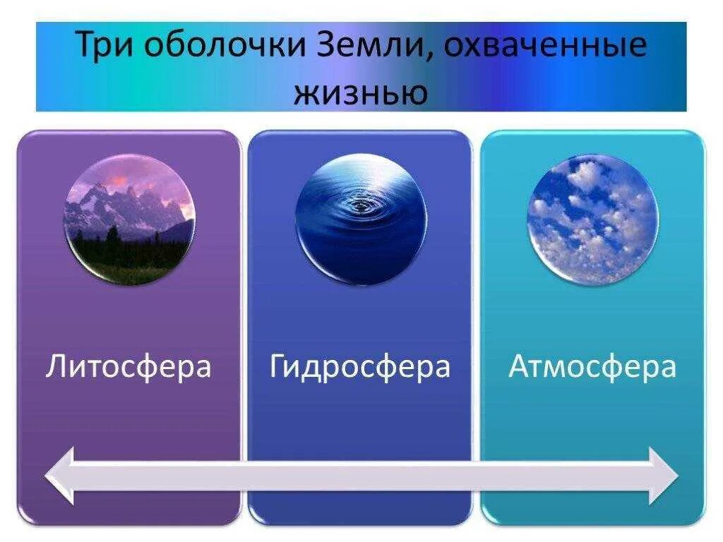 Биосфера. Оболочки земли атмосфера гидросфера. Литосфера гидросфера атмосфера биосфера. Биосфера земли. Три оболочки земли.