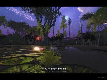 Entropia