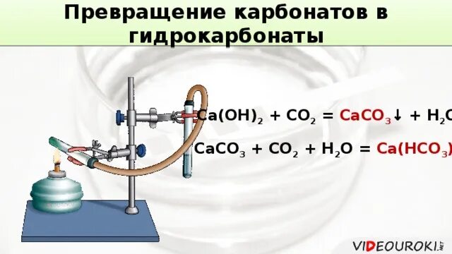 Реакции карбонатов и гидрокарбонатов. Превращение карбонатов в гидрокарбонаты. переход карбонатов в гидрокарбонаты. карбонаты переходят в гидрокарбонат. взаимопревращение карбонатов и гидрокарбонатов.