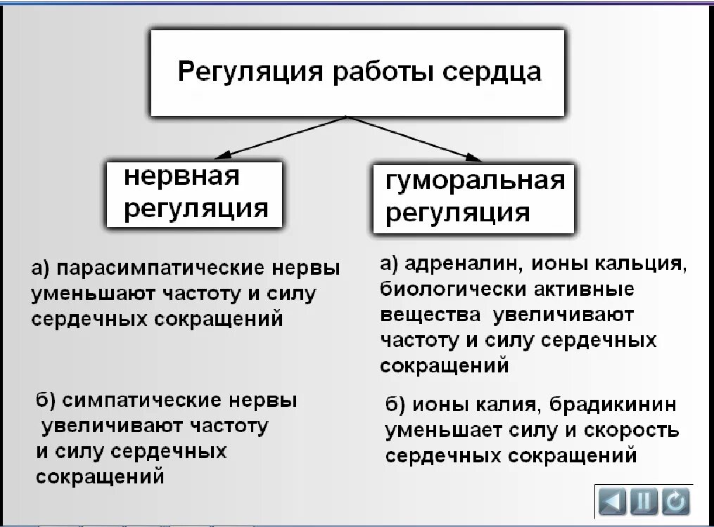 Гуморальная регуляция работы сердца осуществляется. Регуляция работы сердца. Нервная и гуморальная регуляция сердца. Нервно-гуморальная регуляция сердечной деятельности.. Нервная и гуморальная регуляция сердечной деятельности.