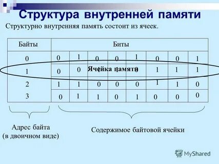 Адрес байта