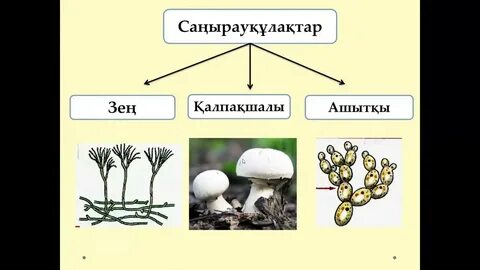 HD сапада секс манина