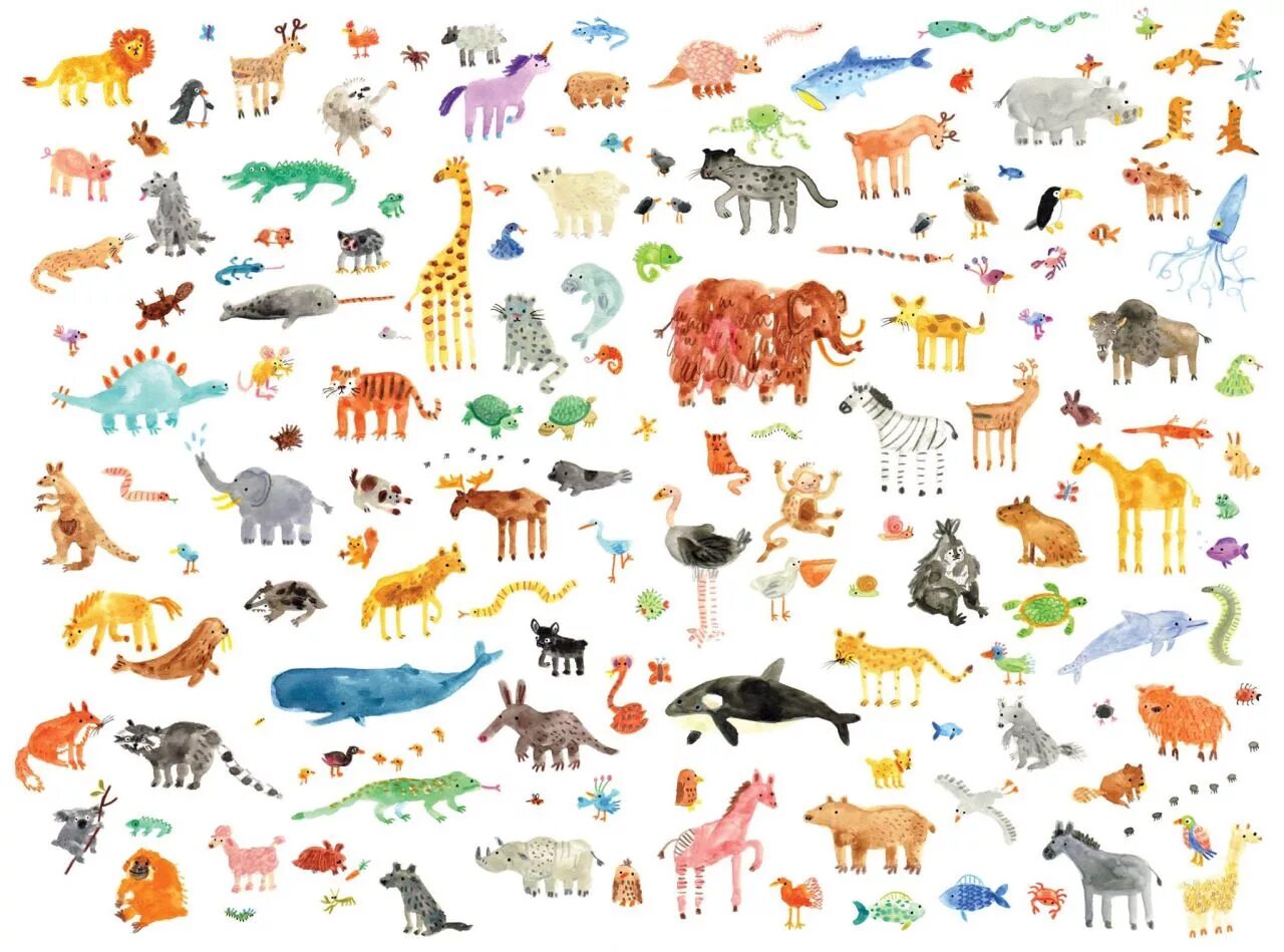 Lorna Scobie. Животные рисунки. Много животных на одной картинке. Животные коллаж.