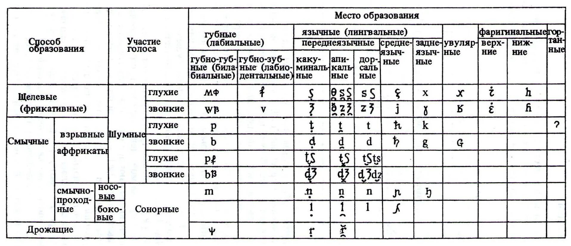 Русские согласные фонемы. Таблица английских согласных звуков классификация. Таблица гласных в английском языке фонетика. Система согласных фонем в английском языке таблица. Классификация гласных звуков английского языка таблица.