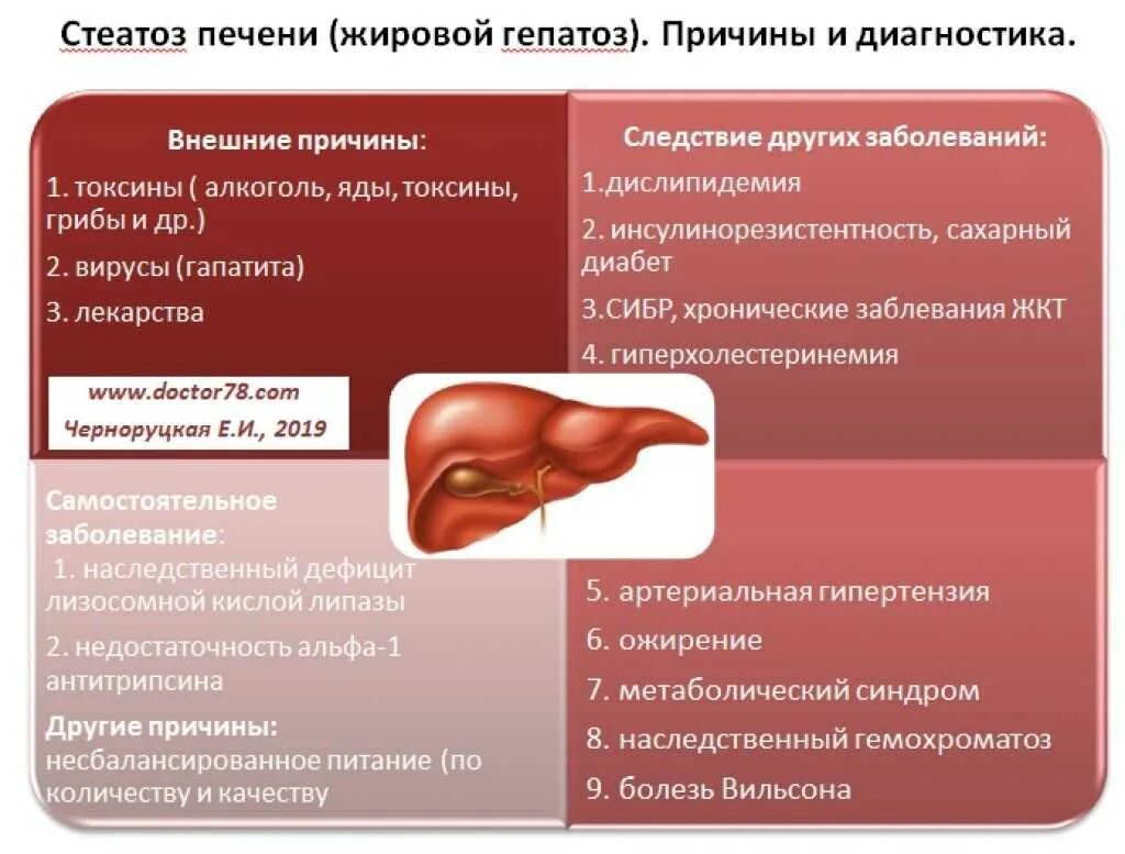 Причины жировой печени. Гиперхолестеринемия и жировой гепатоз. Жировая дистрофия печени (стеатоз печени). Причины жирового гепатоза. Причины жирового перерождения печени.