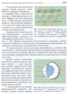 Наделить способностью